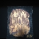 Oilpainting Bonaire van Jean Gregorie "Copper" H20 | B18
