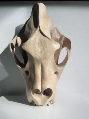 Skull hout uniek exemplaar Durban Zuid-Afrika H40 | B22